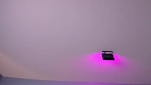 Amy_whittee Chat XXX in diretta