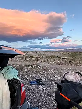 FloppyPickle4u 라이브 XXX 채팅