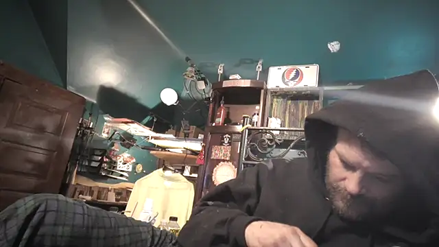 Show webcam de charactrzero