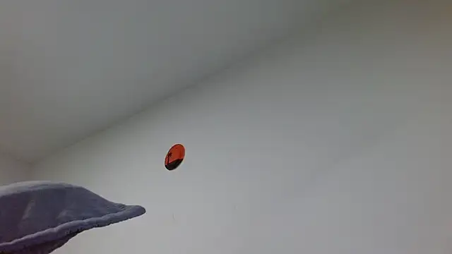 jaico_santos Chat XXX in diretta