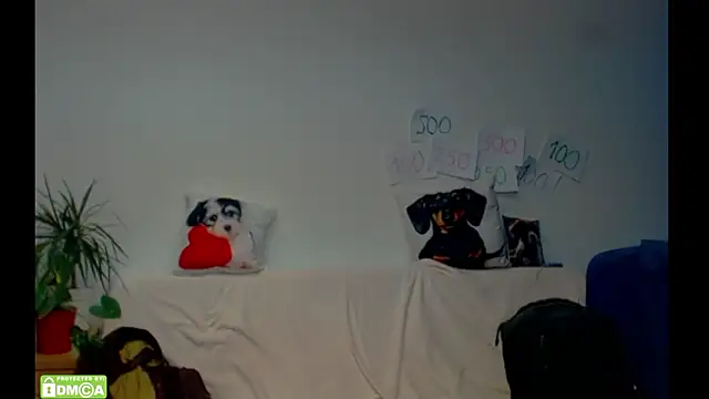 Chat XXX Live ZeinMiracles