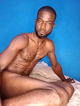 Bulletact Live XXX-Chat