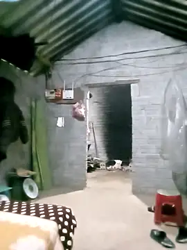 Chat XXX en directo de ngan-cute