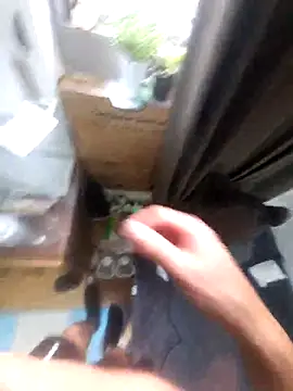 Shank599 网络视讯表演