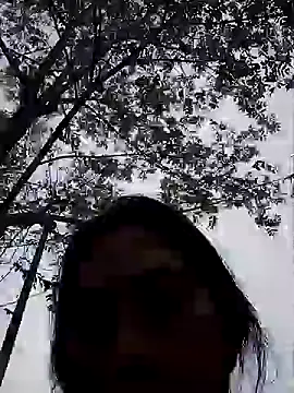 Hoa-tuylip Show Webcam