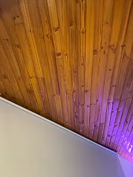 Czat XXX na żywo – Sofia18_pinkk