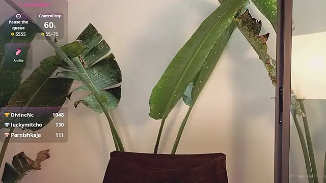 แชท XXX สดของ came-a-lot