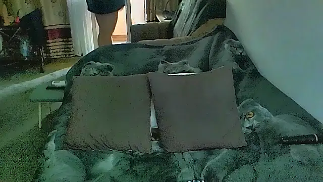 sex2のライブXXXチャット