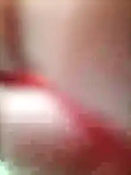 Pitercom 网络视讯表演