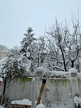 Czat XXX na żywo – Almmaxxxx