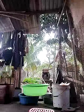 BigBoobs186 webkamerás műsora