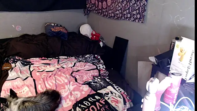 Chat XXX Live London_Ray