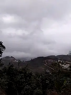 linda_bae00 网络视讯表演