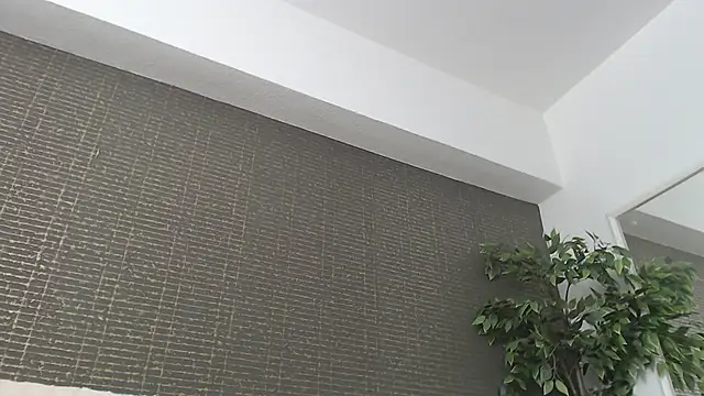 แชท XXX สดของ TinyBlair