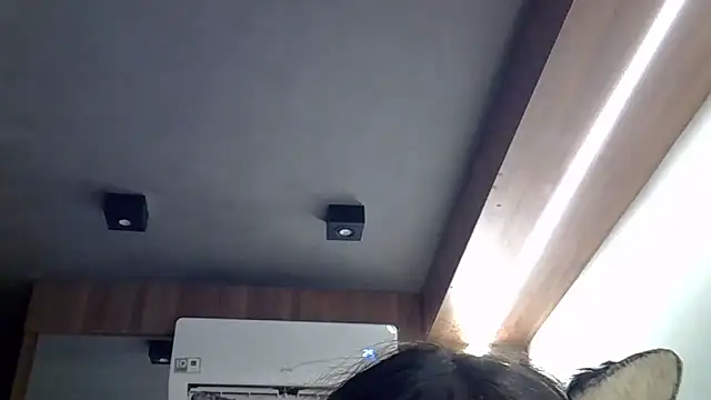 แชท XXX สดของ SkinnyKitten