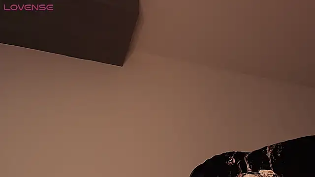 Show de webcam de BjornSteel