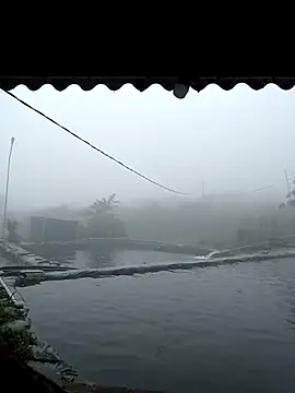 ngan-cute Live XXX Chat