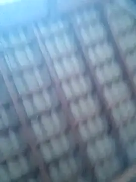 nard53 live XXX chat