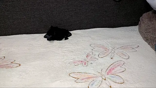 Chat XXX en directo de TiaraHenegan