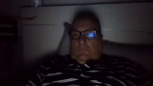 vergatugablogspotのウェブカメラショー