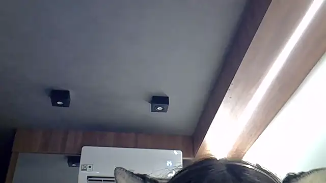 Pertunjukan Kamera Web SkinnyKitten