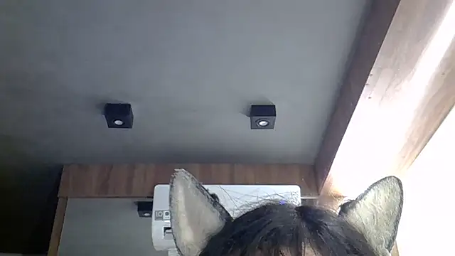 SkinnyKitten: онлайн-секс-чат