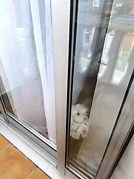 Chat +18 de bichota85 ao vivo