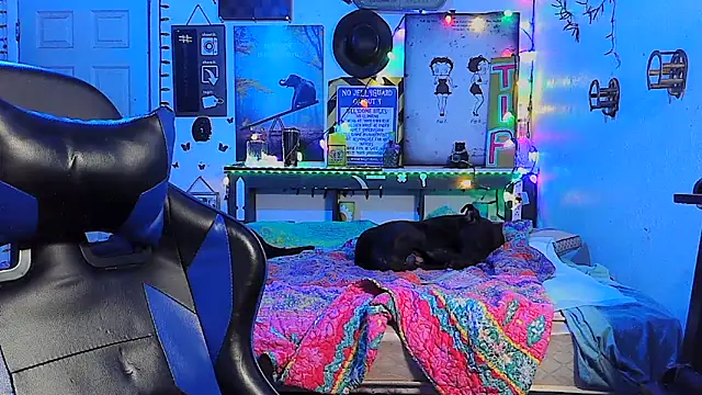 Chat XXX en directo de Buffshagswell