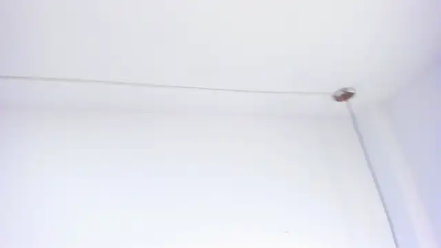 دردشة Alaia_Gutierrez الجنسية المباشرة