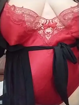 Pertunjukan Kamera Web SalientClean