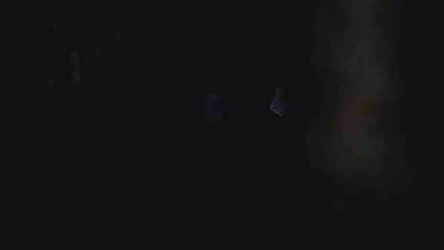 JohnnyDeep187 웹캠 쇼