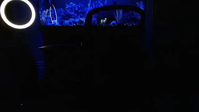 Czat XXX na żywo – EspanolVato