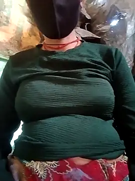 Meena_sakshi webcam show