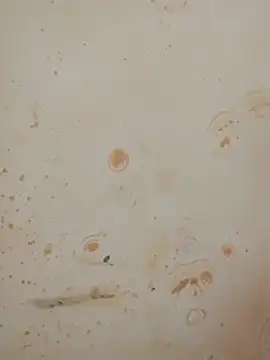 Sapna_baby1 웹캠 쇼