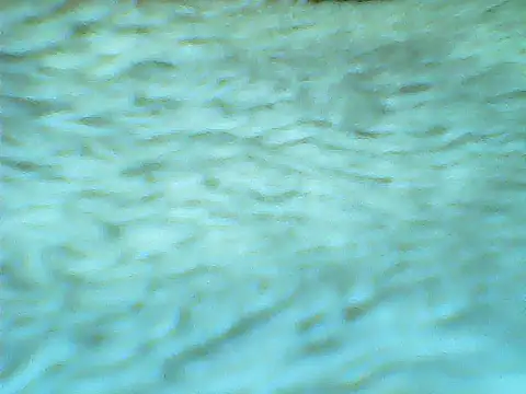 Pokazy przed kamerką – SOLESFETISHBR