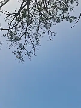 Indianboytelugu Show Webcam