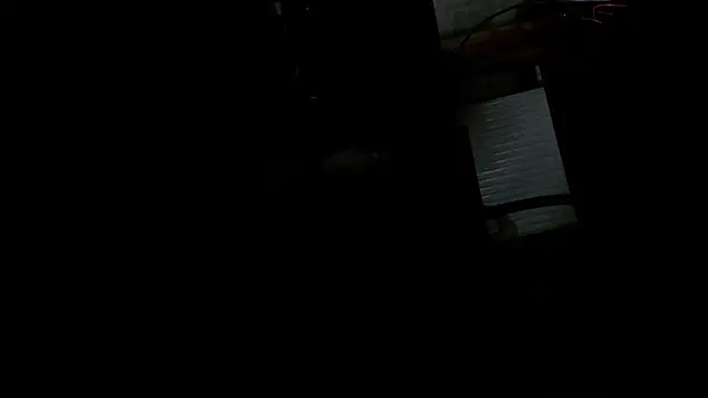 Show webcam de cmmann007