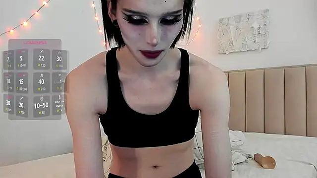 Show modela TrES-2b na web-kameri