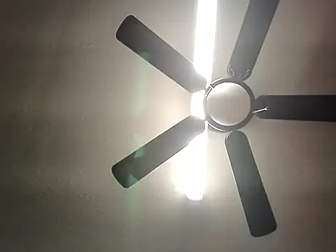 แชท XXX สดของ freakeypoint