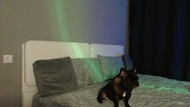 Reyleys 即時 XXX   聊天