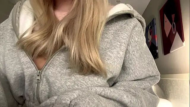 KariJarecken Webbikameraesitys