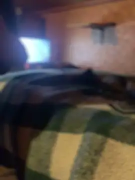 Ldnick69: απευθείας συνομιλία ΧΧΧ