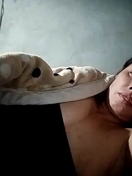 kaia-cam 网络视讯表演