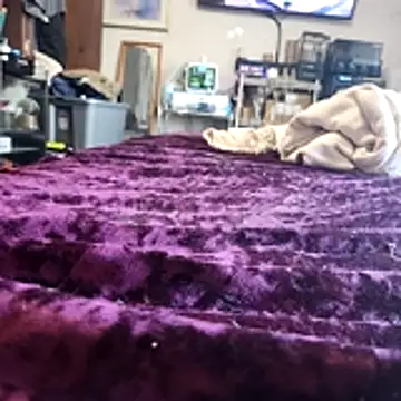 vanscr1 Chat XXX in diretta