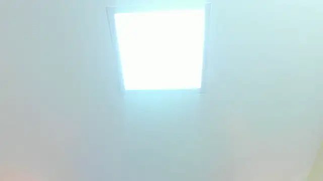 Chat XXX en directo de MAGIEVANS1