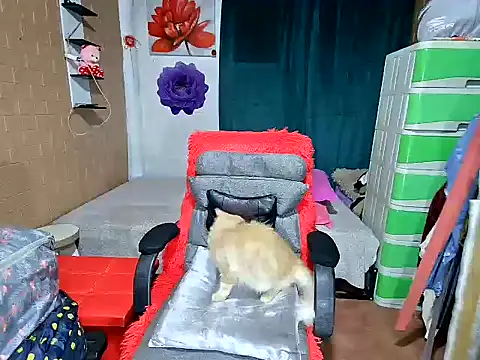 Ugly-Filipina Live XXX Chat