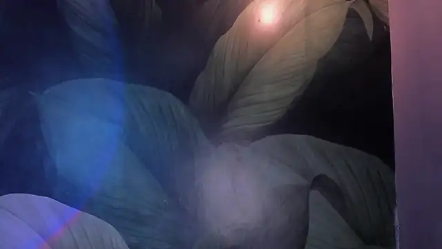 sweett_dirty Chat XXX live