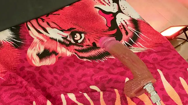 Blackrosse__ 现场XXX聊天