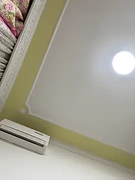 DOMINATOR_SIR-MASTERn Webbikameraesitys