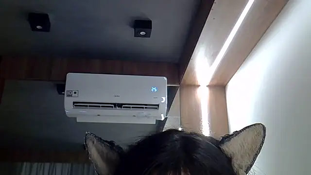 Živý XXX chat SkinnyKitten